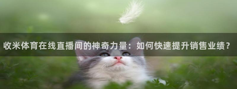 收米体育在线直播间的神奇力量：如何快速提升销售业绩？