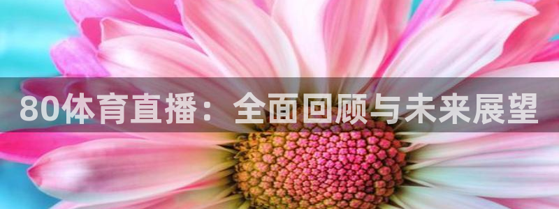 80体育直播：全面回顾与未来展望